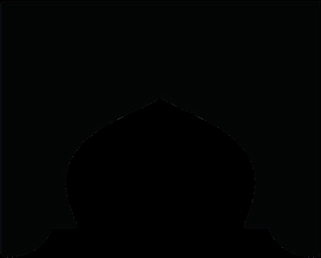 Noor-Book.com  أحكام الأضحية