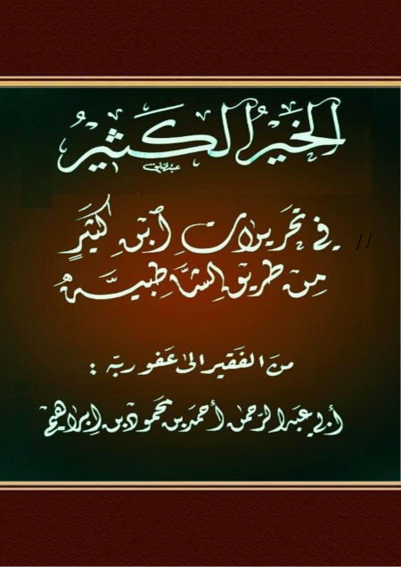 Noor-Book.com  الخير الكثير في تحريرات ابن كثير من الشاطبية 2