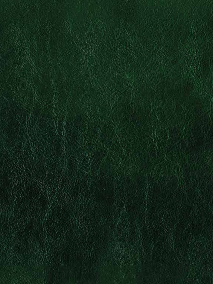  شرح الورقات