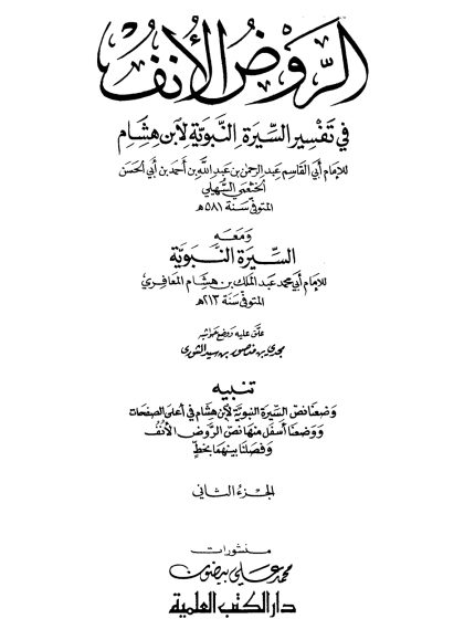 الروض الأنف في تفسير السيرة النبوية  ج 2، مبادأة رسول الله صلى الله عليه وسلم قومه ، تهجمهم على ذات الله