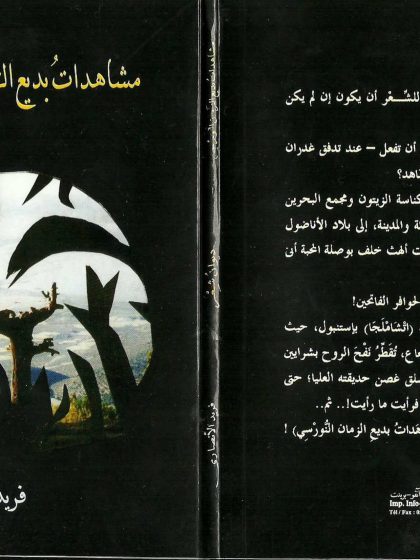 مشاهدات بديع الزمان النورسي