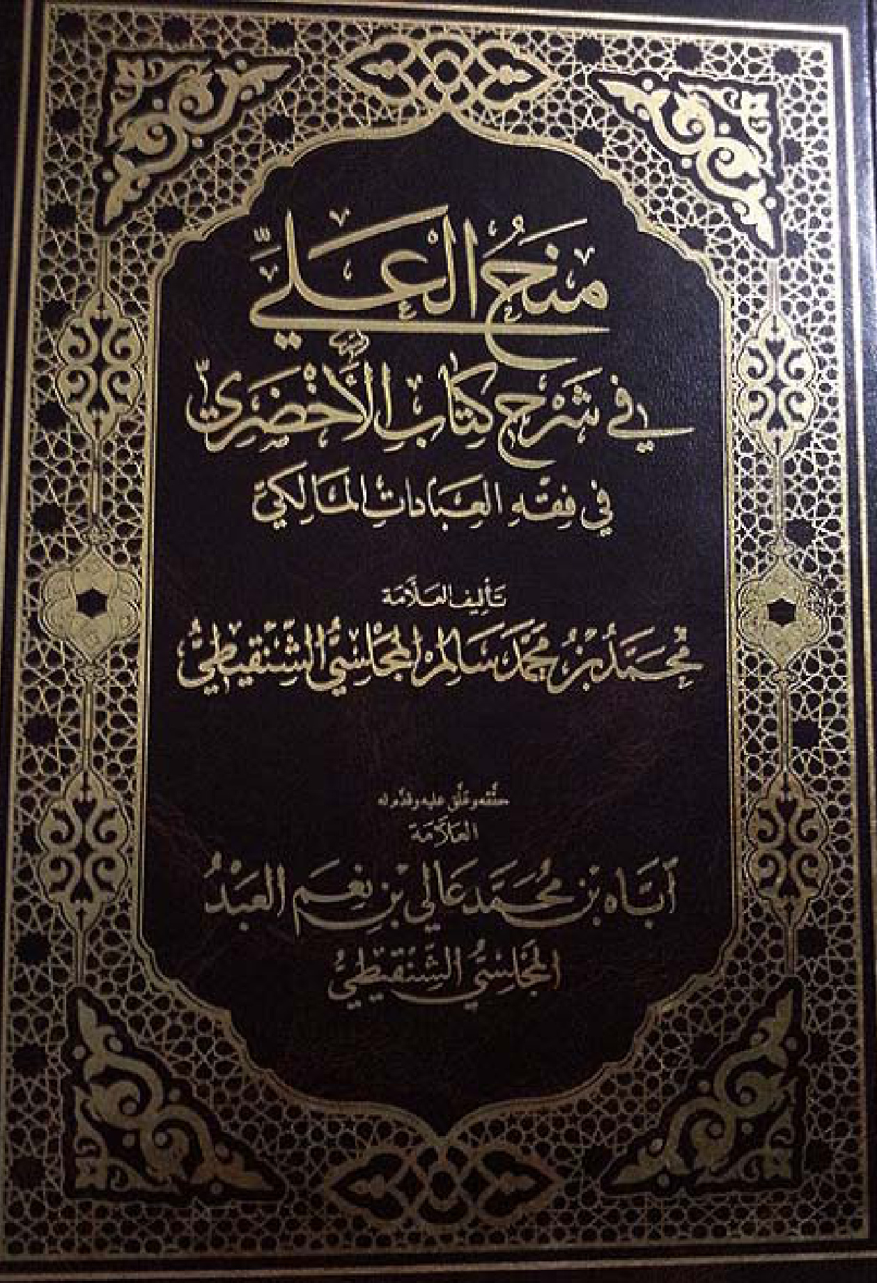 منح العلي في شرح كتاب الأخضري في فقه العبادات المالكي