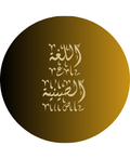 اللغة الصينية