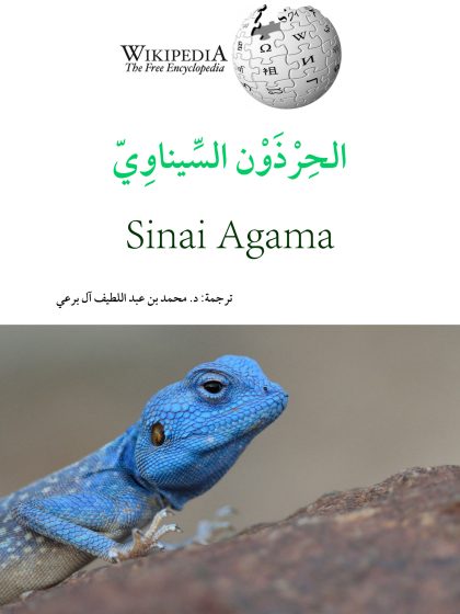 الحرذون السيناوي
